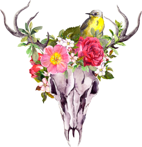 Skull Flowers (485x500), Png Download