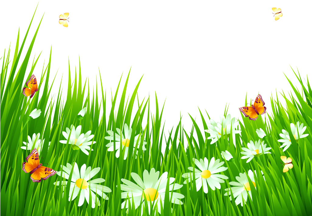 Grass Png Transparent Clip Art Image - Clipart Grass And Flowers (1024x742), Png Download