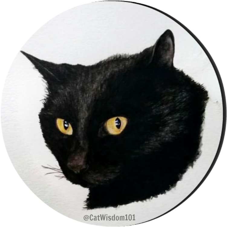 Original Watercolor Of Your Cat Giveaway - Watercolor Black Cat Transparent Png (800x800), Png Download