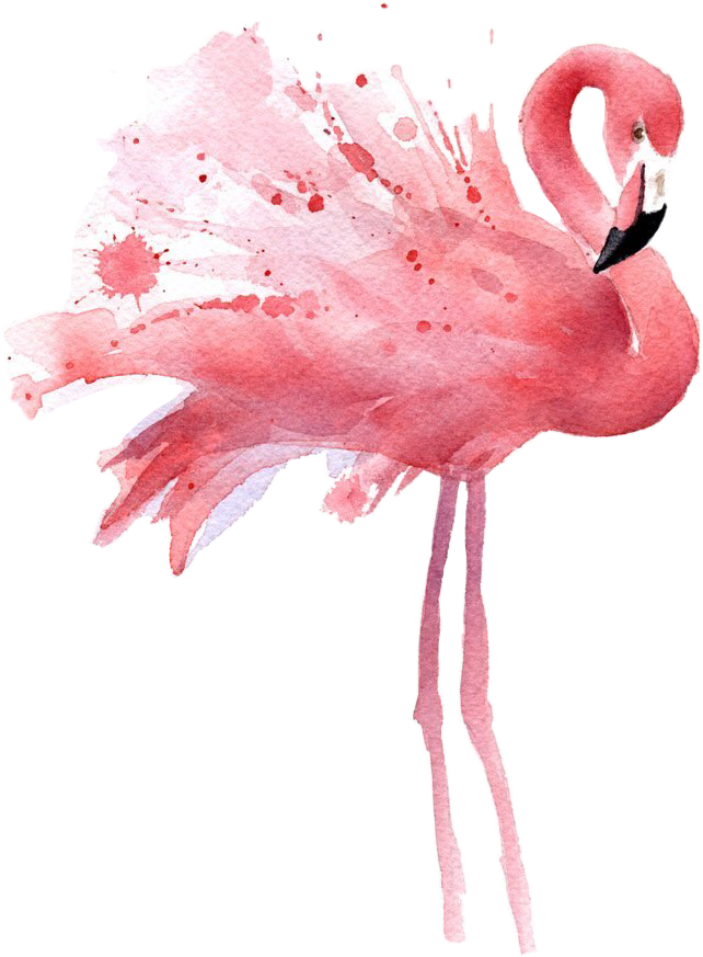 Picture Transparent Stock Freetoedit Sticker By Qwerty - Celular Plano De Fundo (642x873), Png Download