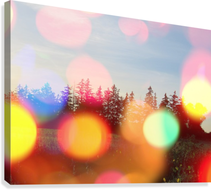 Heart Landscape Tree Forest Park Leaf Grass Plant Natural - Painting (429x386), Png Download