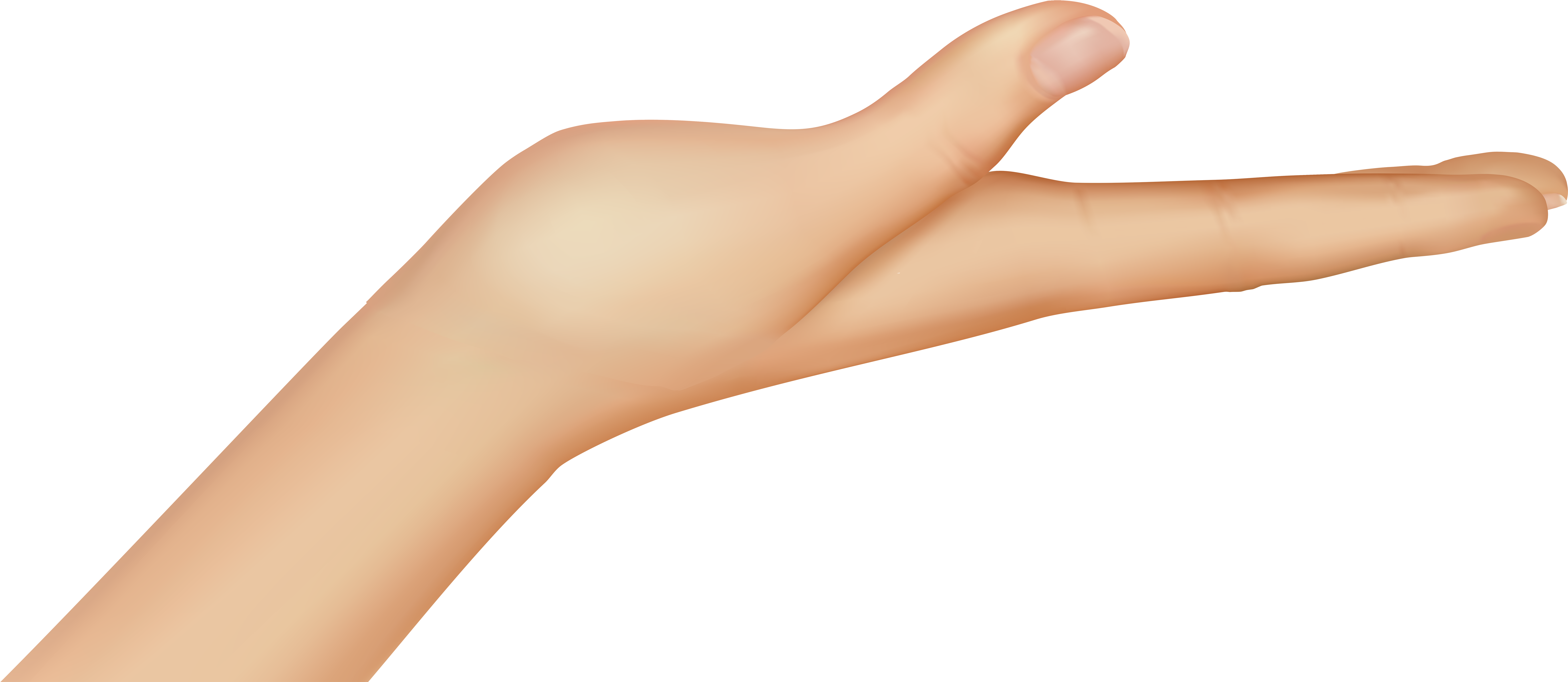 Palm Flat Of Hand Png Clip Art - Flat Hand Png (8000x3495), Png Download
