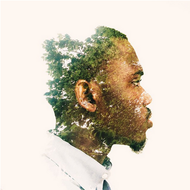 Download Transparent A Look Back - Visual Arts - PNGkit