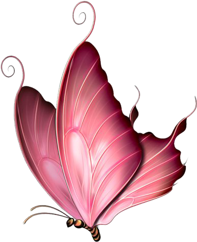Pink Butterfly Png Image - Pink Butterfly Throw Blanket (427x500), Png Download