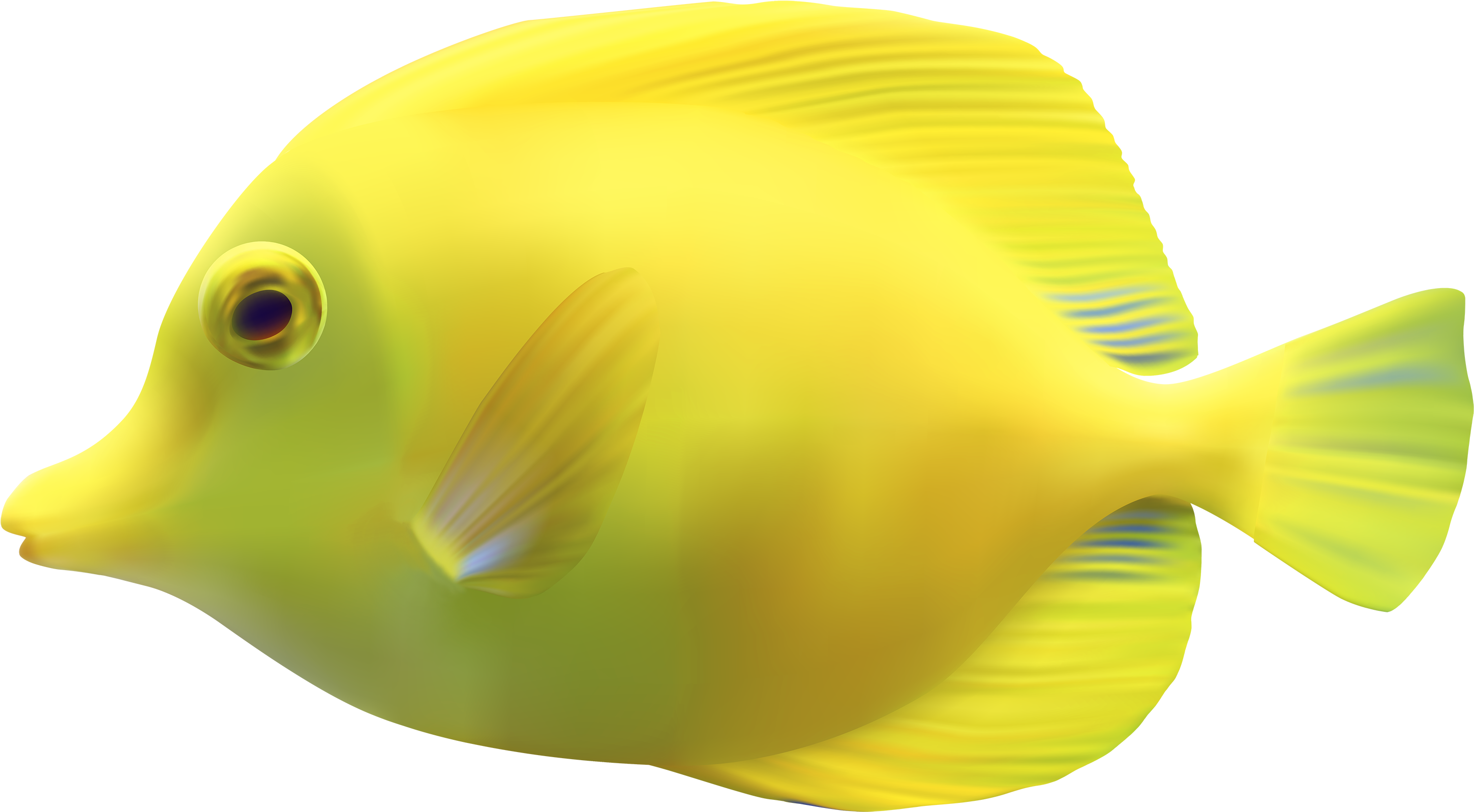 Yellow Zebrasomatang Fish Png Clipart - Fish Png (3000x1653), Png Download