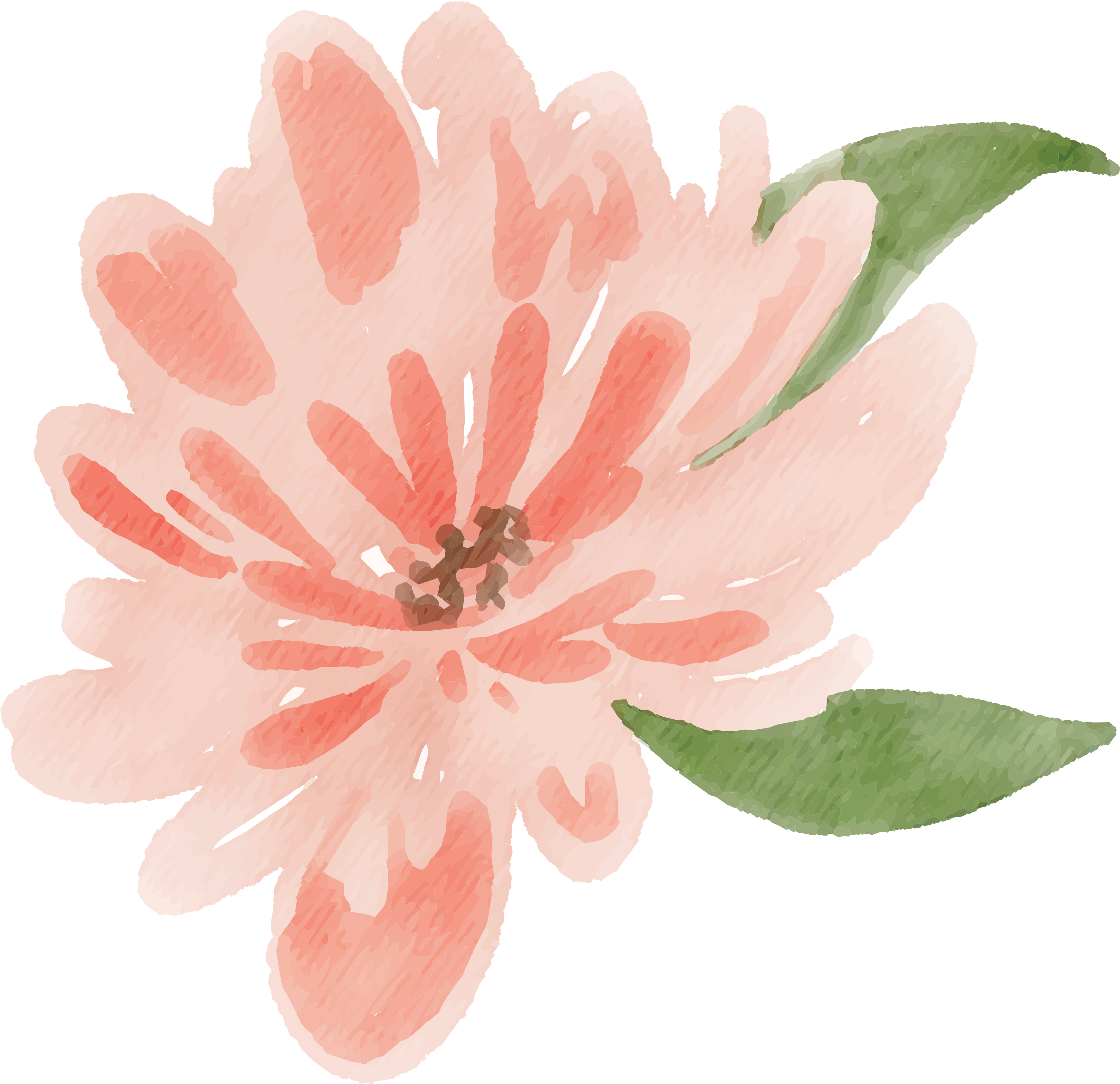 Be Sure To Subscribe - Watercolor Peach Floral Png (3409x3205), Png Download