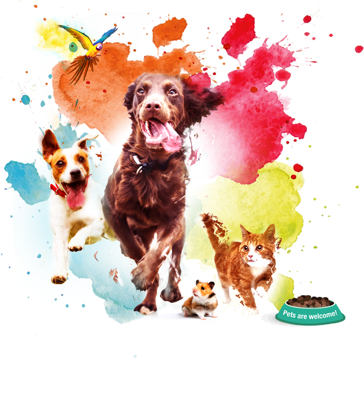 Sign Up For Event News And Updates - Singapore Pet Carnival Calendar 2018 (1200x1232), Png Download