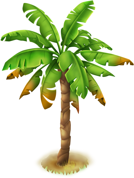 Palm Tree - June 19 (600x600), Png Download