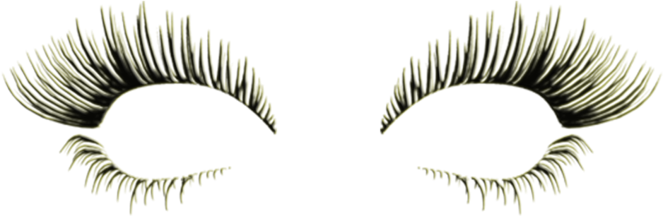 Banner Transparent Library Diva Slimming And Aesthetics - Eyelash Extensions (1000x442), Png Download