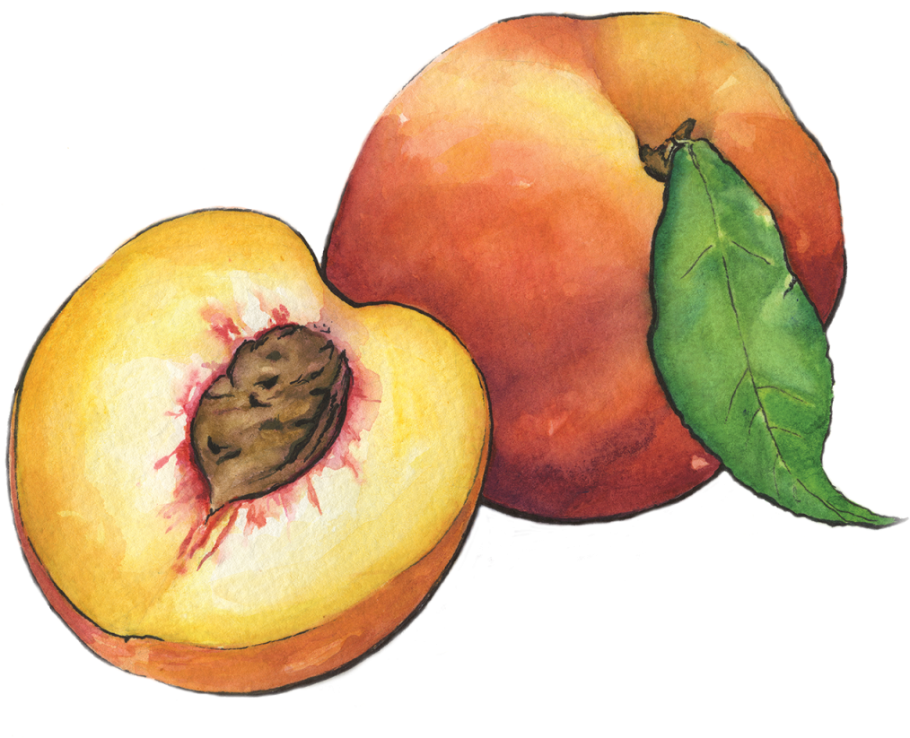 Peaches (1024x825), Png Download