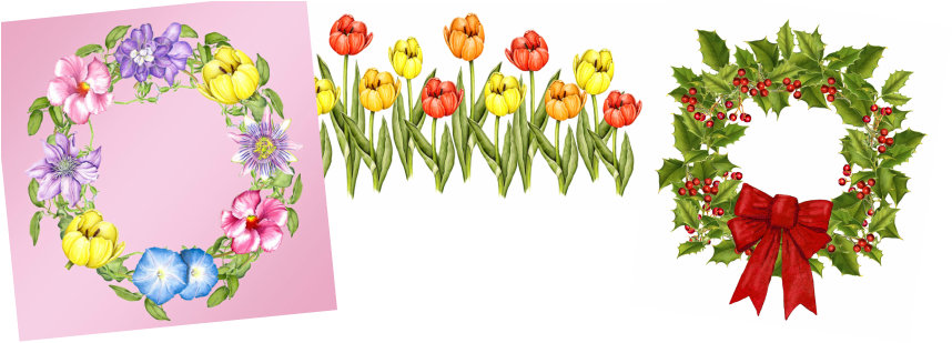 Three Floral Illustrations Of Watercolor Flower Blossoms, - Flower (873x323), Png Download