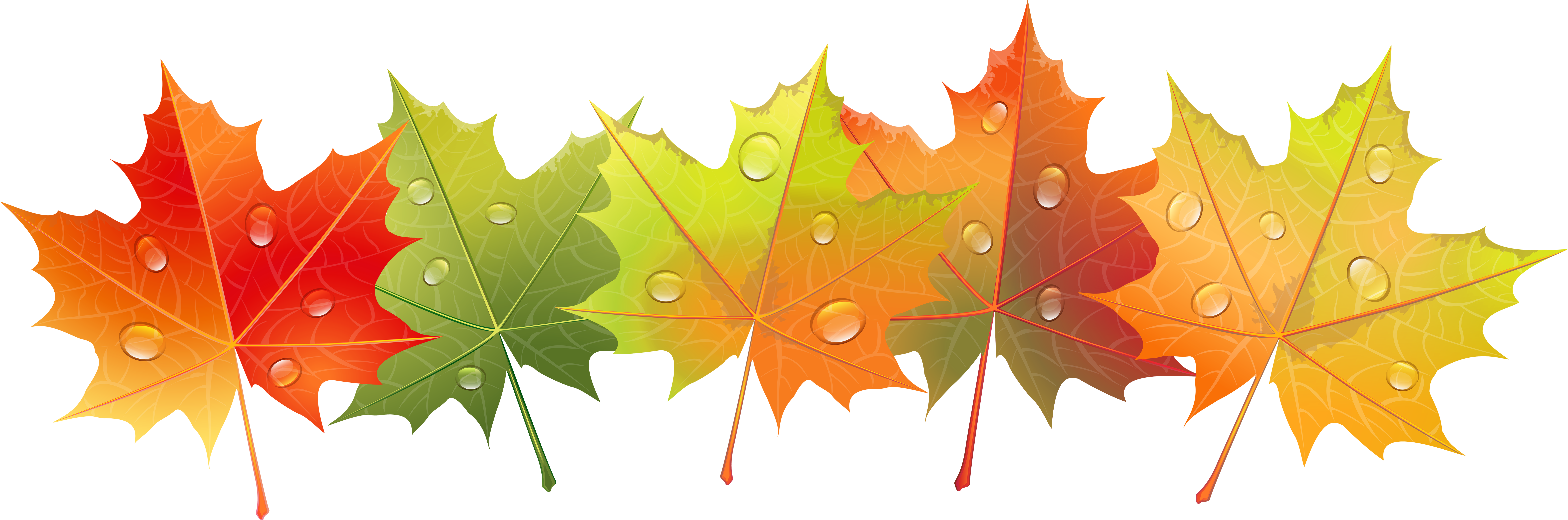 Fall Png (8000x2617), Png Download