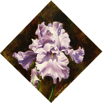 Iris - Grape (350x350), Png Download