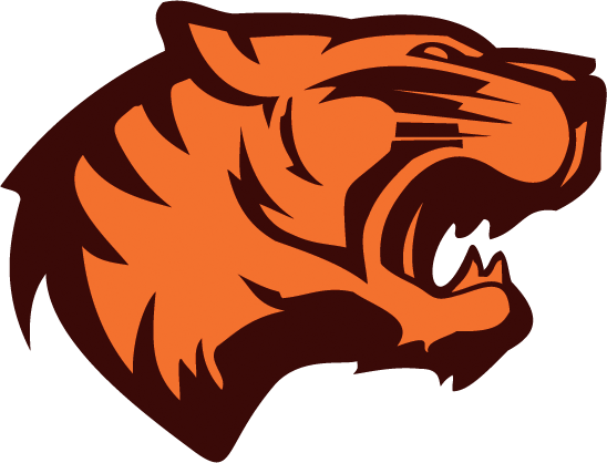 Tiger Face Vector - Tiger Face Vector Png (548x418), Png Download
