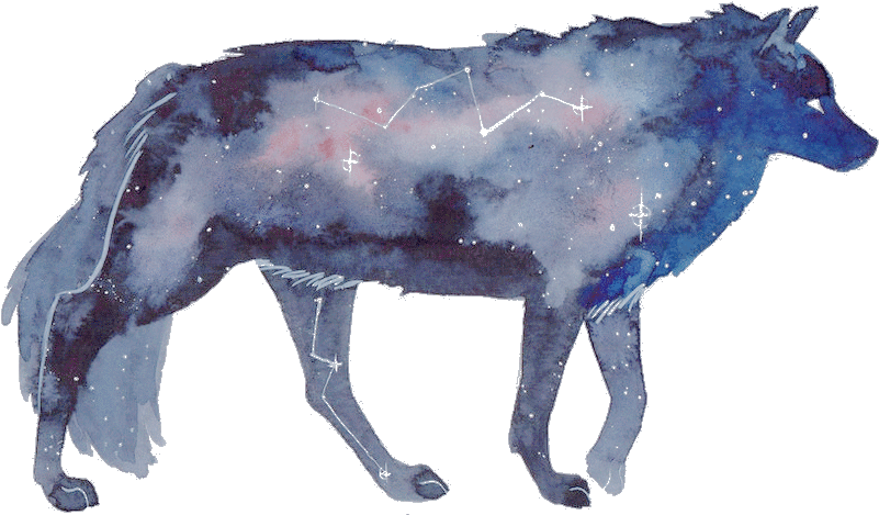 Galactic-2 - Watercolor Of Galxy Animal (854x472), Png Download