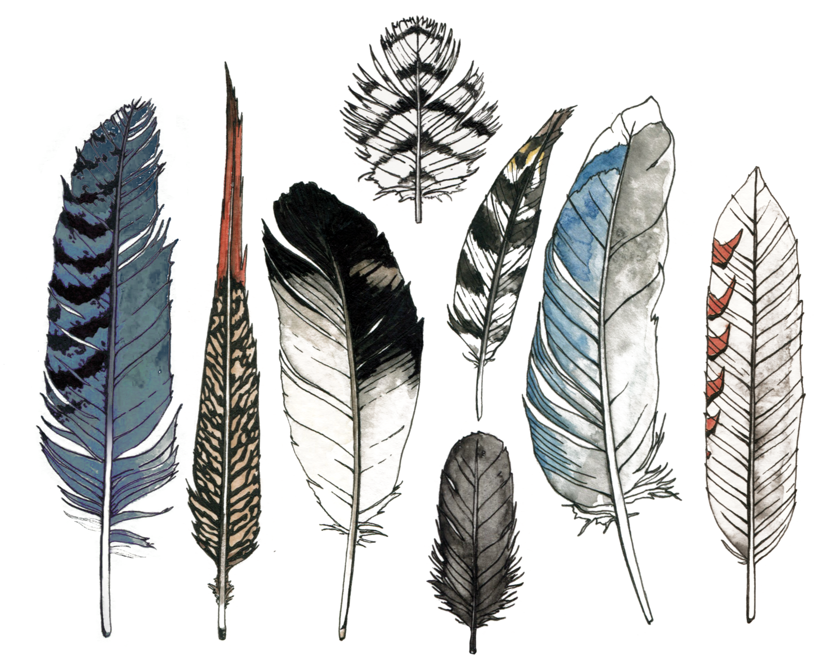 Watercolor Feather Set - Watercolor Feather (690x690), Png Download