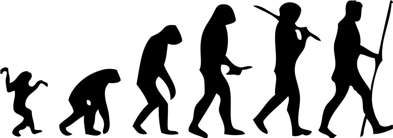 Human Evolution Scheme - Human Evolution Png (1280x456), Png Download