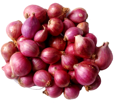 Free Library Small At Rs Kilogram Payaz Piaja Piyaz - Small Onion In Kerala (500x333), Png Download