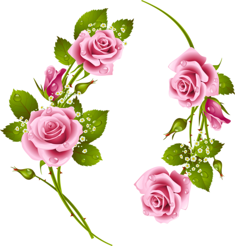 Pin By Carmen Dungan On Flowers Pinterest Flowers Png - Flower (477x500), Png Download