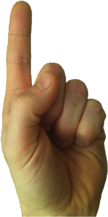 Clipart Royalty Free Library Finger Transparent Index - Index Finger (451x786), Png Download