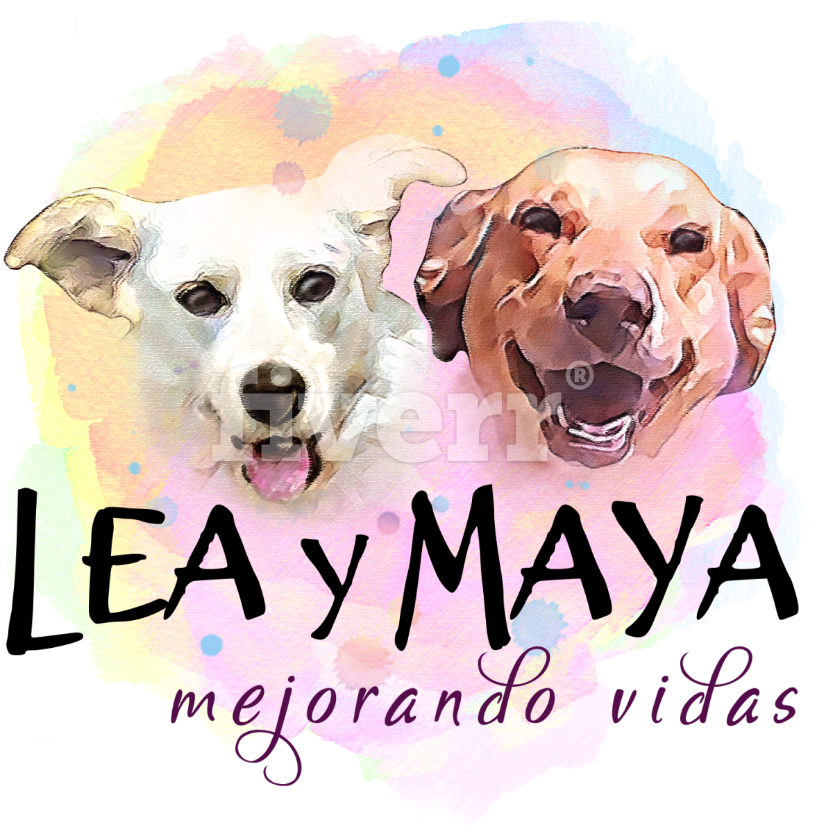 Labrador Retriever (1200x1200), Png Download