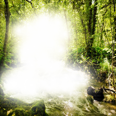 Forest Frame - Png Image Forest Frame (400x400), Png Download