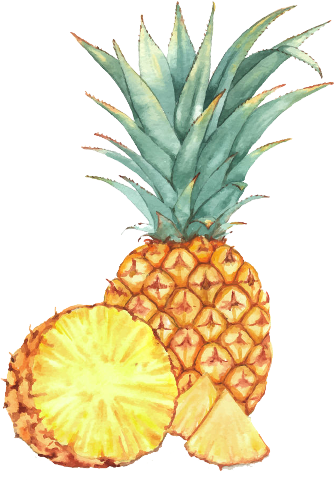 Watercolor Painting Fruit Drawing Illustration (2362x2362), Png Download