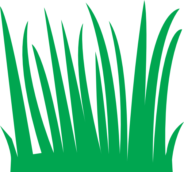 Grass For A Bulletin Board (600x560), Png Download
