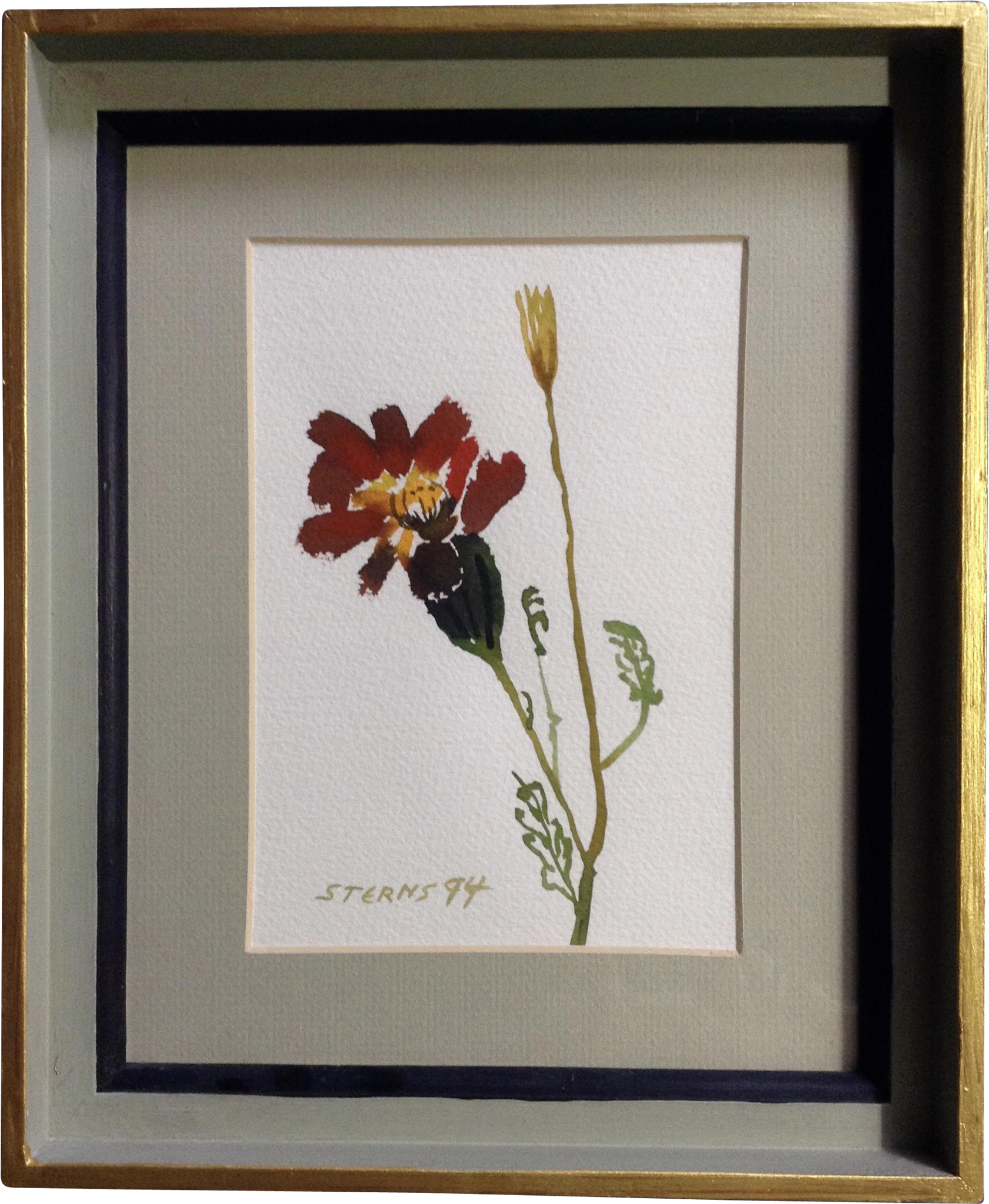 Sterns, Watercolor Painting Blooming Flower Works On - Canna Lily (2048x2048), Png Download