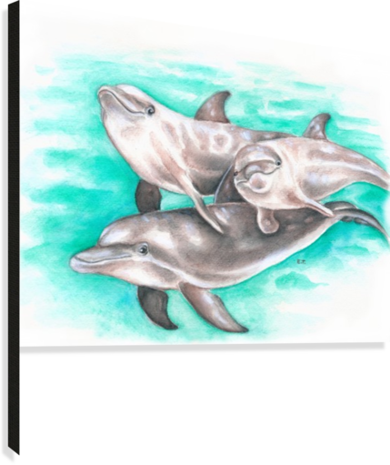 Dolphin Pod Teal Watercolor Impression Sur Toile - Watercolor Painting (429x511), Png Download