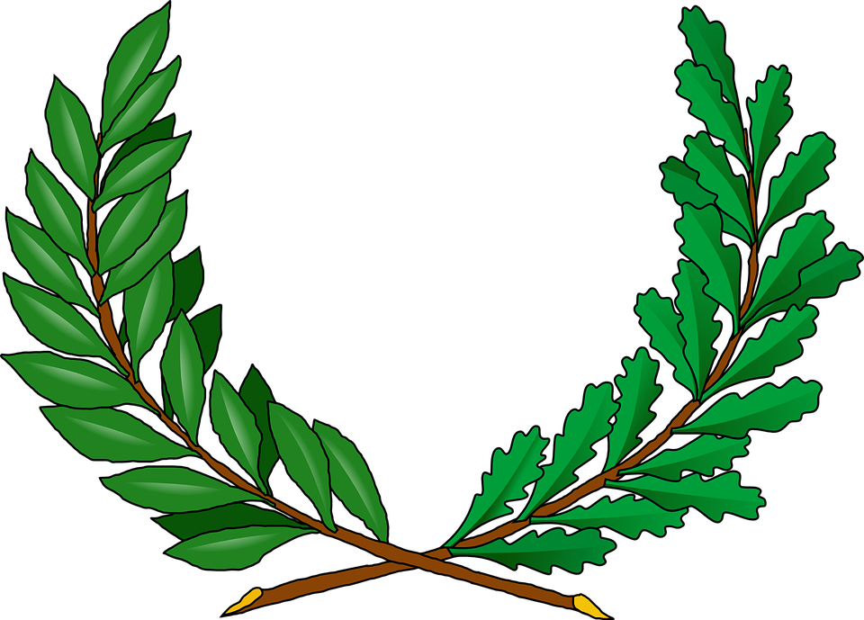 How To Set Use Tree Vines Clipart (600x431), Png Download