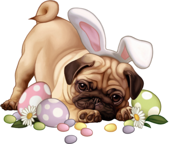 Share This Image - Perros Pascuas Png (706x600), Png Download