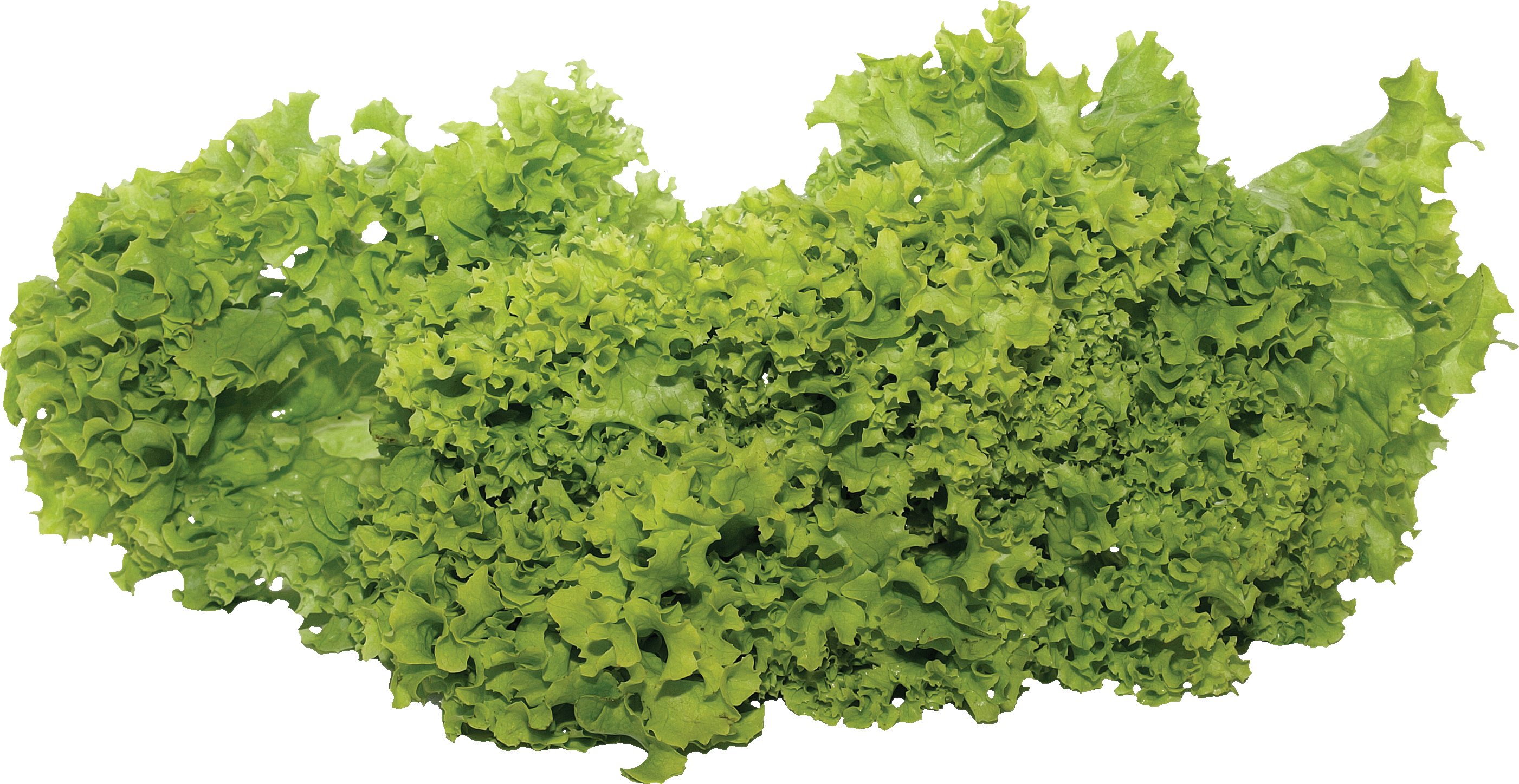 Vegetable Garden Png (2803x1448), Png Download