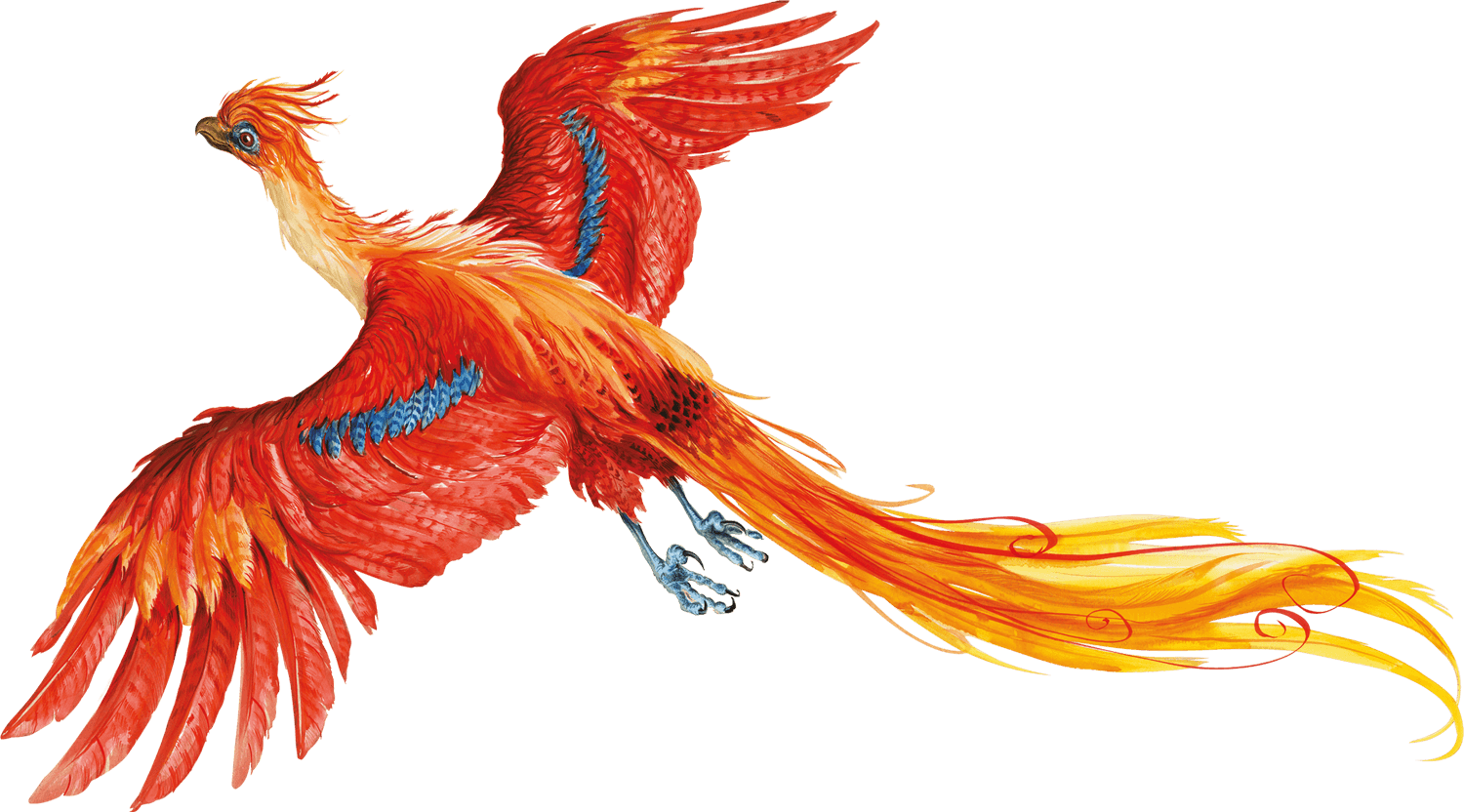 Harry Potter - Harry Potter And The Chamber Of Secrets Illustrations (1500x832), Png Download