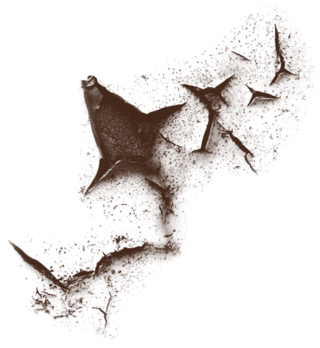 Useful Crack Png For My Editor Frnds Use And Follow - Png For Crack Effects (500x500), Png Download
