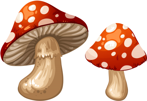 Clip Stock Mushrooms Png Clip Art Best Web Clipart - Mushroom Clipart Png (500x364), Png Download