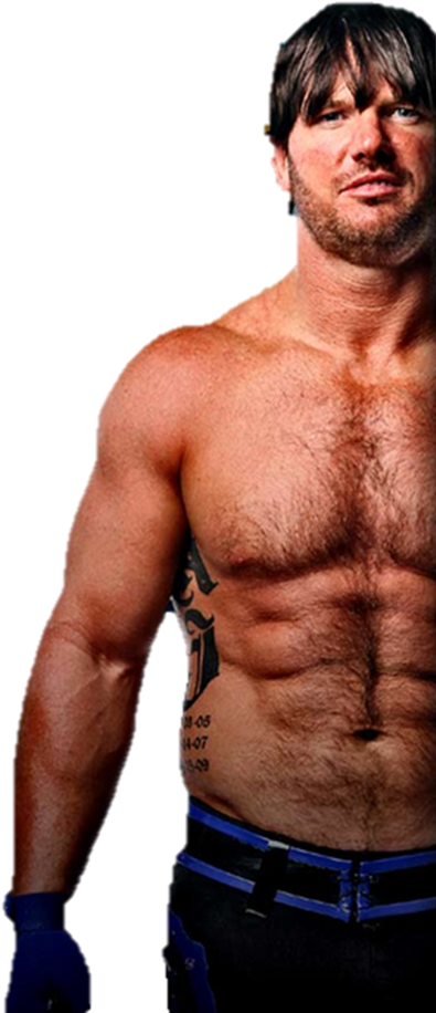 Resultado De Imagem Para Aj Styles - Tna Aj Styles 2013 (282x521), Png Download