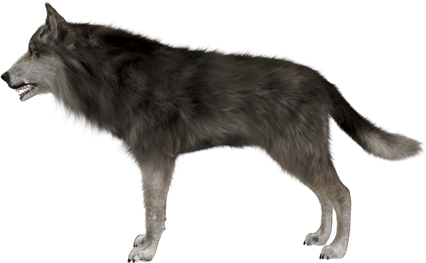Pc Mob, - Wolf Side Png (1920x1080), Png Download
