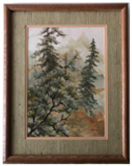 In A Pine Forest - Colorado Spruce (400x400), Png Download