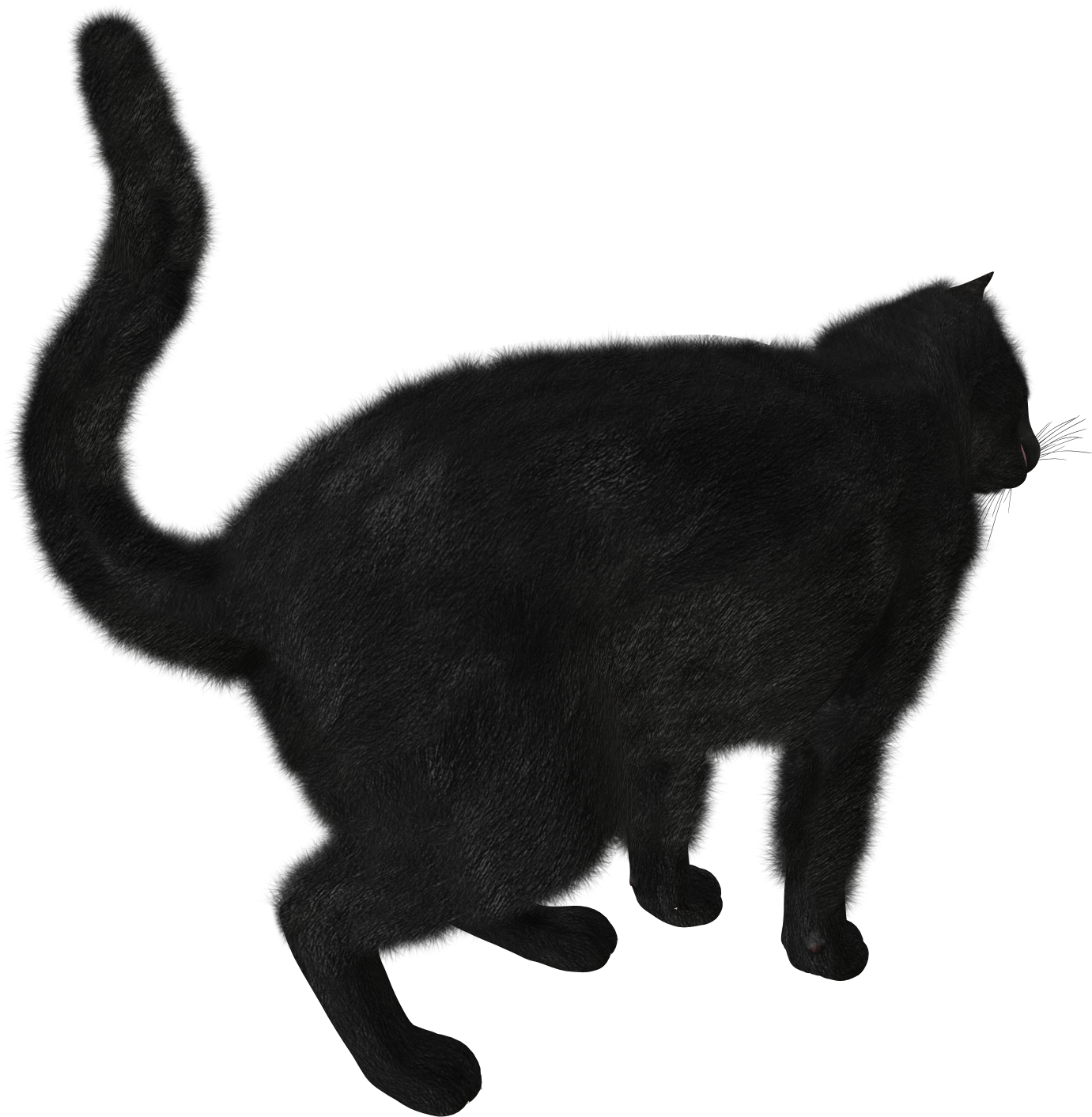 Cats Png Free Images, Download - Black Cat Transparent Png (1490x1520), Png Download