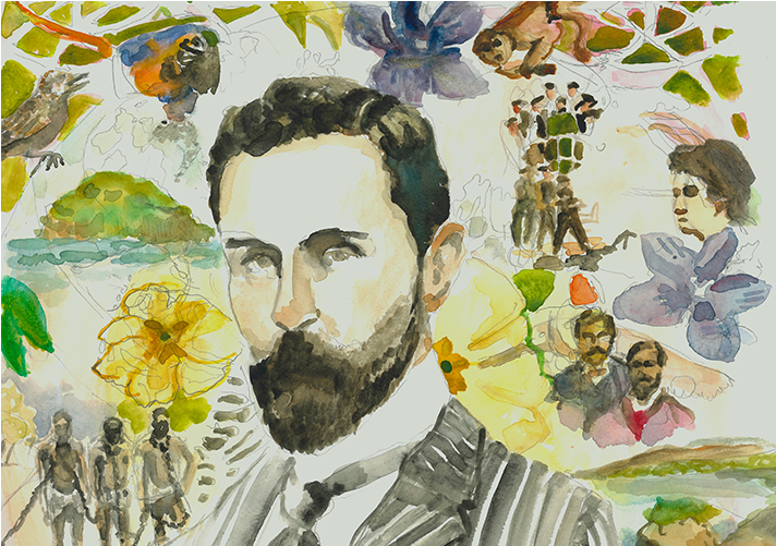 Seminário Roger Casement 2ª Opção Banner - Blog (1423x500), Png Download