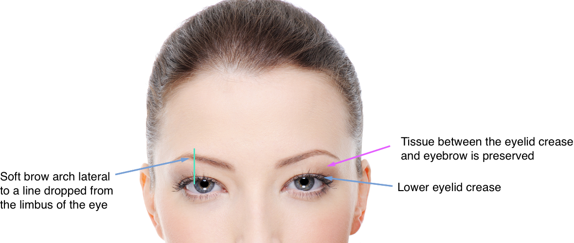 Brow Lift - Lure Glam Face And Eye Cupping Set Ing Facial A (1180x501), Png Download