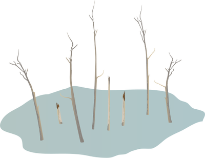 Ian Symbol Climate Change Ghost Forest - Oasis (400x308), Png Download