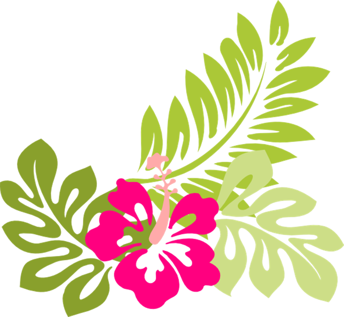 Tropical Flower Clip Art Flowers Clip Art Hawaiian - Tropical Flower Clipart (696x640), Png Download