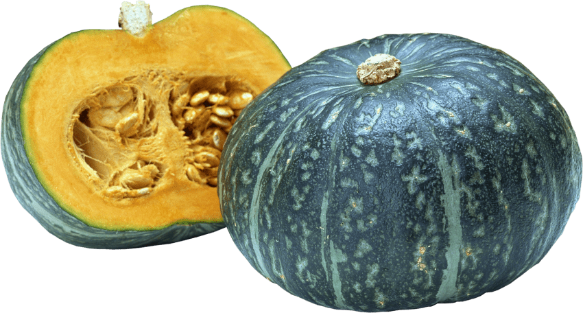 Free Png Pumpkin Png Images Transparent - Squash In Png File (850x456), Png Download