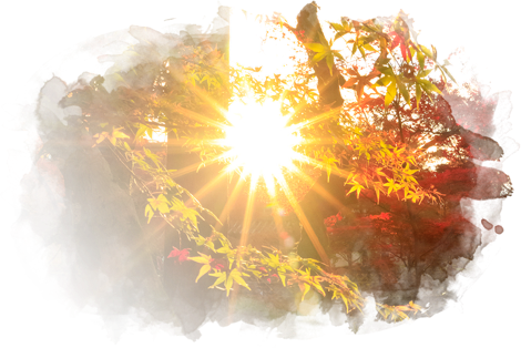 Essential Body - Sunlight (470x314), Png Download