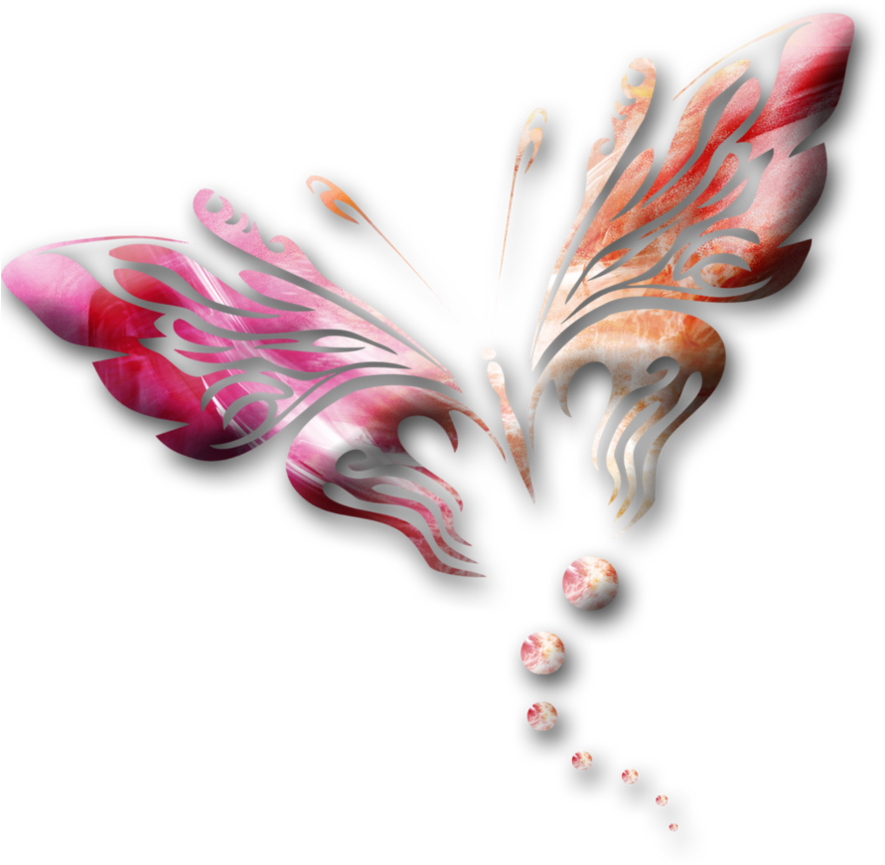 Background Butterfly - Maripozas Png (894x894), Png Download