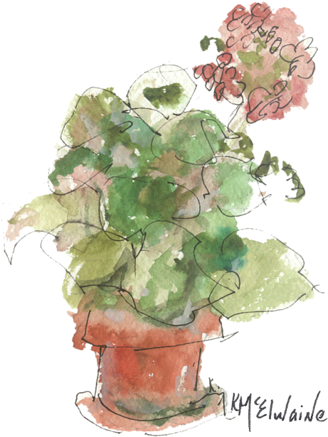Bleed Area May Not Be Visible - Original Buspaintings Geranium Watercolor Painting (525x700), Png Download