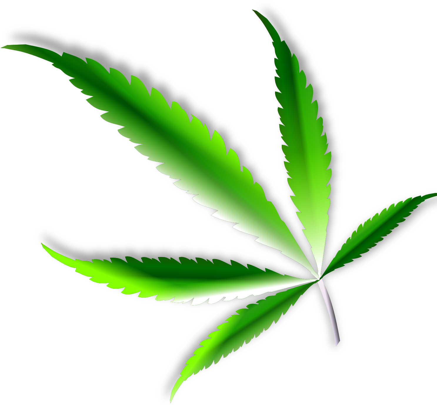 This Free Icons Png Design Of Cannabis Leaf (1697x2400), Png Download
