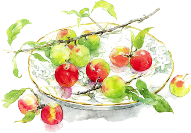 Clip Art Library Download Apples Transparent Watercolor - Marie's Watercolor (691x500), Png Download